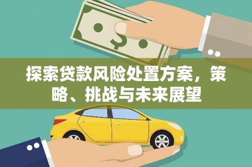 迪庆探索贷款风险处置方案，策略、挑战与未来展望