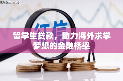 罗源留学生贷款，助力海外求学梦想的金融桥梁