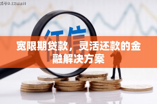 赫山宽限期贷款，灵活还款的金融解决方案