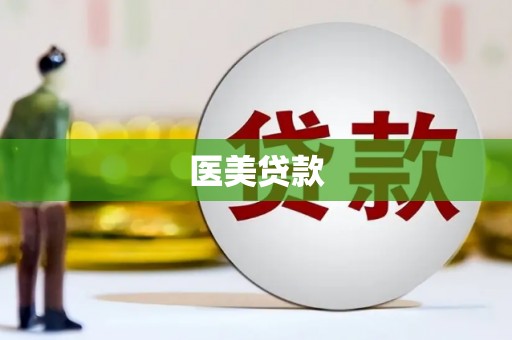 天元医美贷款