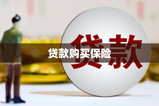 桑日贷款购买保险