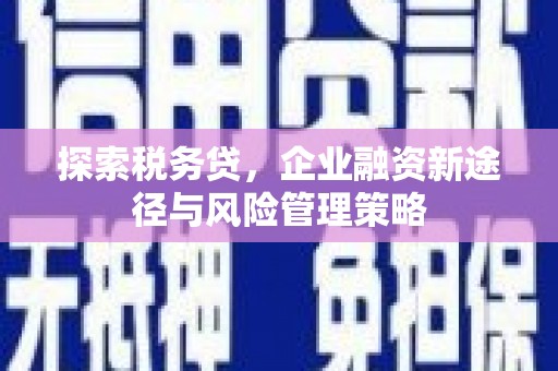 怀来探索税务贷，企业融资新途径与风险管理策略
