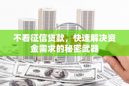 桦甸不看征信贷款，快速解决资金需求的秘密武器
