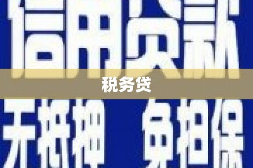 桦川税务贷