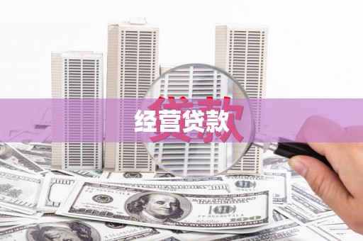 阳西经营贷款