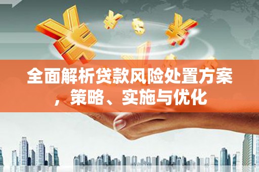 巴青全面解析贷款风险处置方案，策略、实施与优化