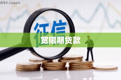 白玉宽限期贷款