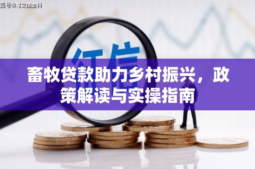兴庆畜牧贷款助力乡村振兴，政策解读与实操指南