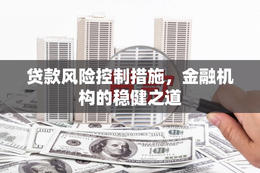 湟中贷款风险控制措施，金融机构的稳健之道