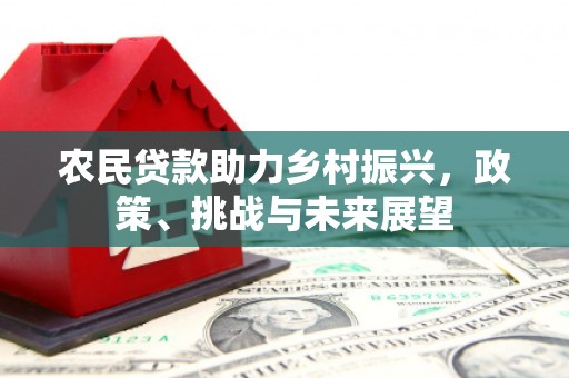 呼玛农民贷款助力乡村振兴，政策、挑战与未来展望