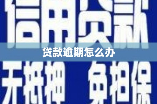 拜城贷款逾期怎么办