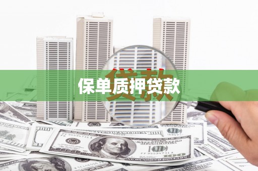 正阳保单质押贷款