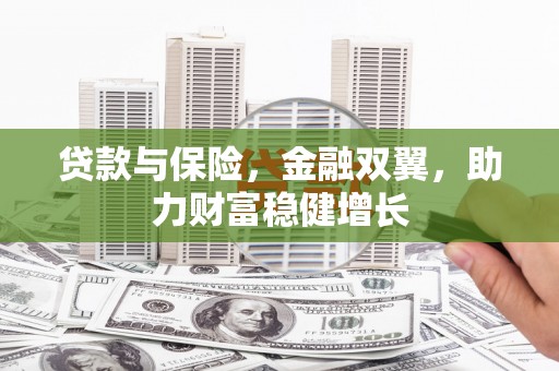 周口贷款与保险，金融双翼，助力财富稳健增长