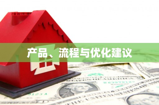龙崎产品、流程与优化建议