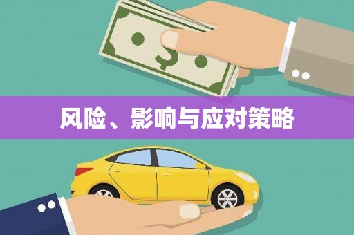 佳木斯风险、影响与应对策略
