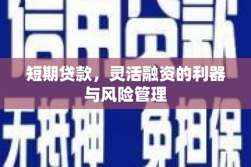 高要短期贷款，灵活融资的利器与风险管理